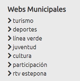 Web Ayuntamiento de Estepona