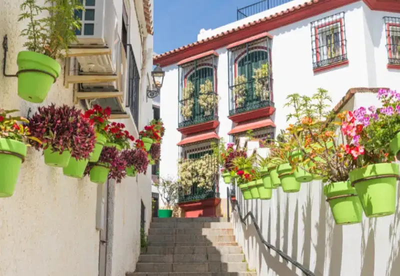 Flores en Estepona